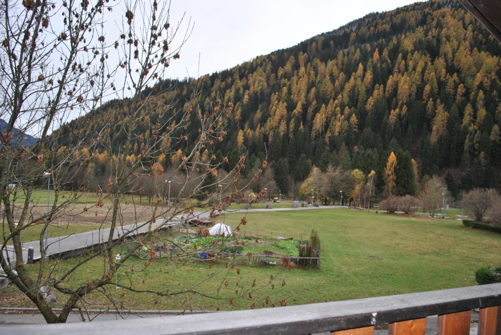 La Pineta - Appartamenti In Villetta Pinzolo Exterior photo