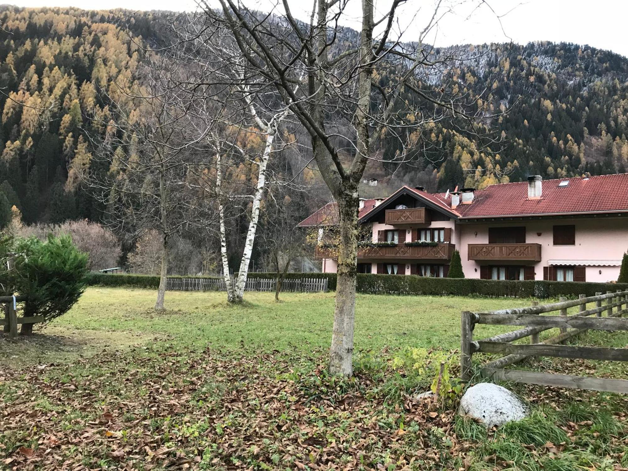 La Pineta - Appartamenti In Villetta Pinzolo Exterior photo